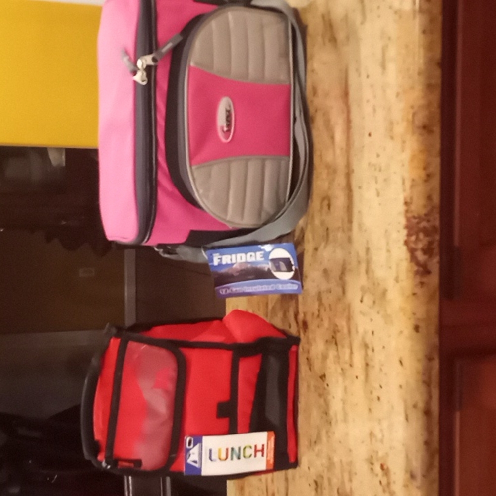 Insulated Cooler and Lunch Bag Lot New